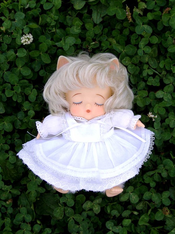 Chibi-neko, Wata No Kuni Hoshi, Takara, Treasure, Action/Dolls
