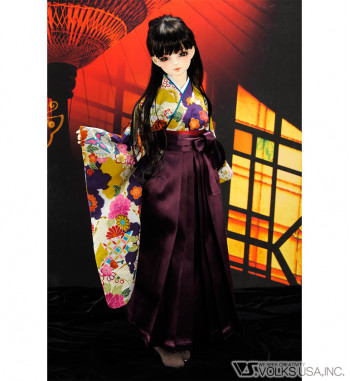 Suigintou (ONE-OFF MODEL), Volks, Action/Dolls, 1/3