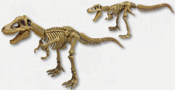 101 Tyrannosaurus, Re-Ment, Action/Dolls