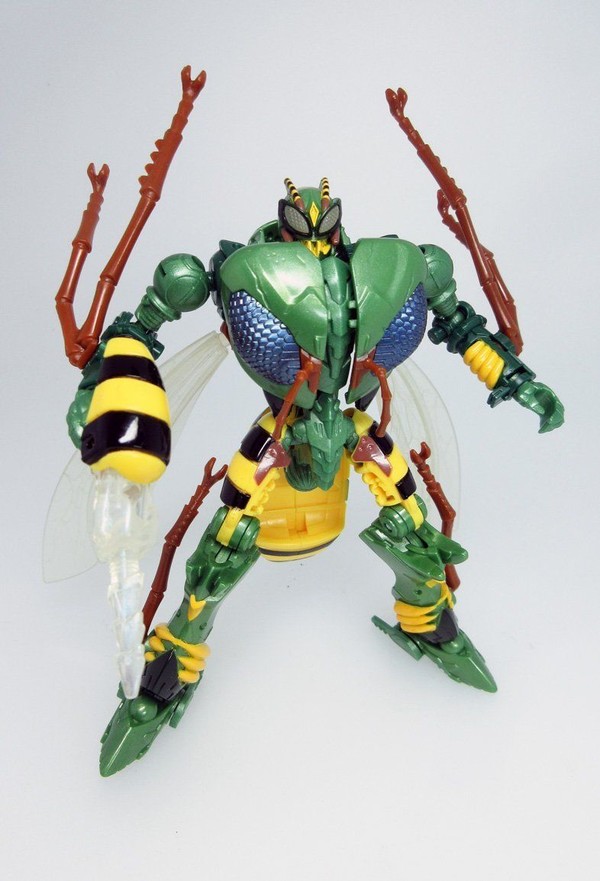 Waspeeter, Beast Wars, Takara Tomy, Action/Dolls, 4904810866978
