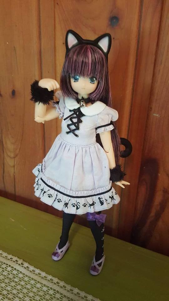 Lycee (ï½žmeow×meow aãƒ»laãƒ»modeï½ž, Kuroneko, Denise's Dolls Exclusive), Azone, Action/Dolls, 1/6