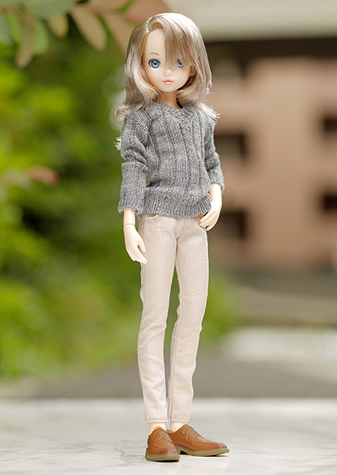 Akogare No Kimi (Boy), Petworks, Action/Dolls, 4571239250048