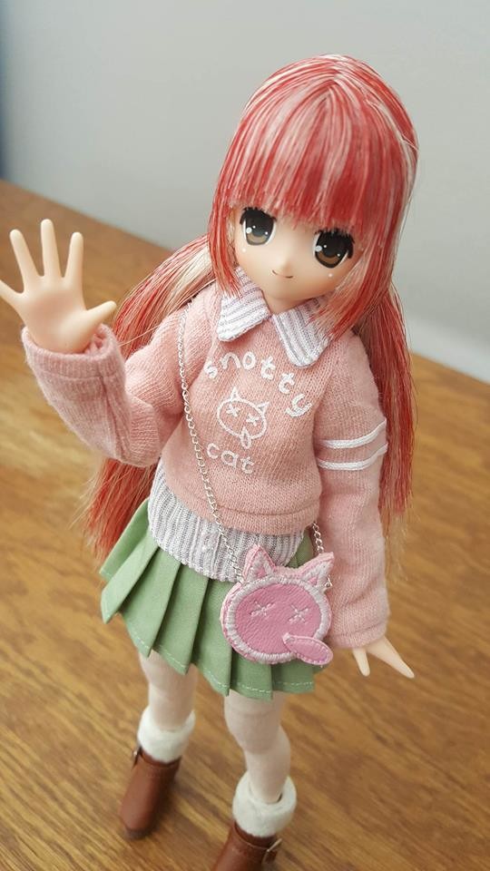 Koron (Snotty Cat â…£, Denise's Dolls Exclusive), Azone, Action/Dolls, 1/6