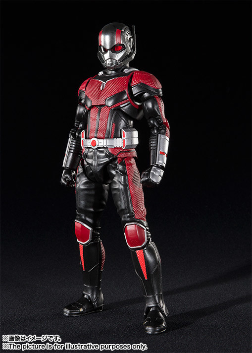 Ant-Man, Ant-Man And The Wasp, Bandai, Action/Dolls, 4549660247937