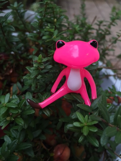 Viviana Grover, Studio-uoo, Action/Dolls