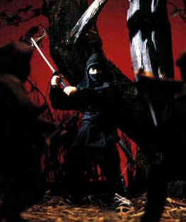 Hattori Hanzou, Kage No Gundan, Arflex, Action/Dolls, 1/6
