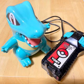 Waninoko, Pocket Monsters, Tomy, Action/Dolls