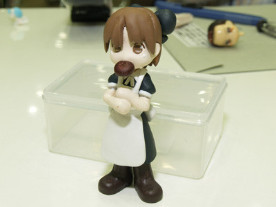 Kimuraya Anko, Ukagaka, LIPS, Garage Kit