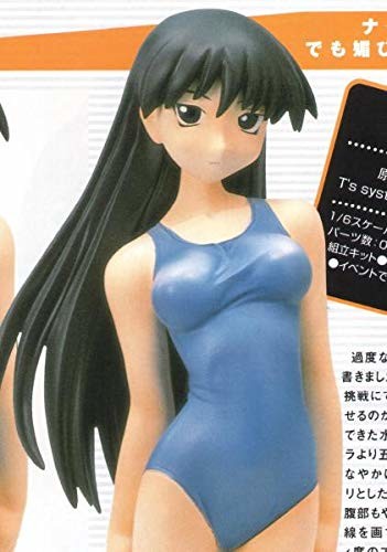 Sakaki, Azumanga Daioh, T's System, Garage Kit