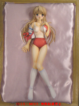 Fujieda Honami (4 Type Gym Outfit), Tsuki Wa Higashi Ni Hi Wa Nishi Ni: Operation Sanctuary, S-Mist, Garage Kit, 1/5