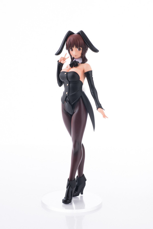 Sakurai Rihoko (Usagi-san), Amagami, Gorilla Motor, Tsurupeta★Oukoku, Garage Kit