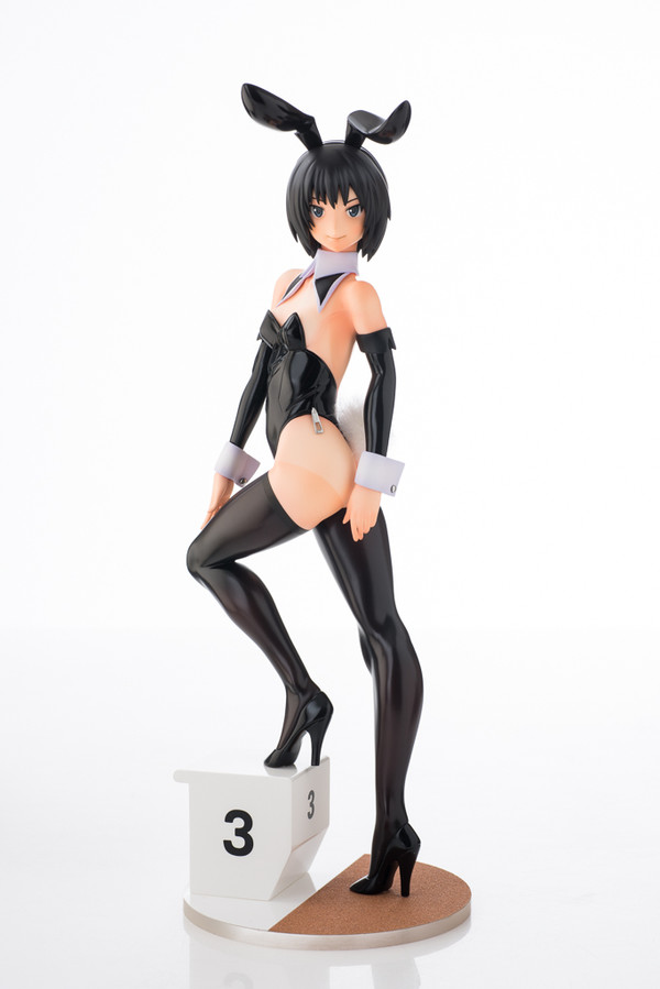 Nanasaki Ai (Usagi-san), Amagami, Gorilla Motor, Garage Kit