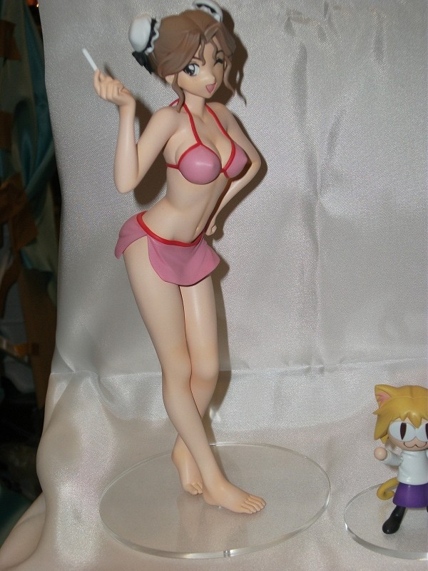 Hayasaka Akira, Super Real Mahjong PV, Tora no Kai, Garage Kit