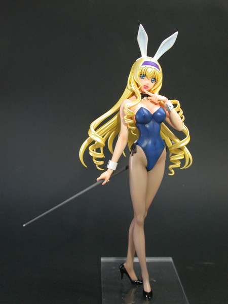 Cecilia Alcott, IS: Infinite Stratos 2, Moonlighter, Garage Kit