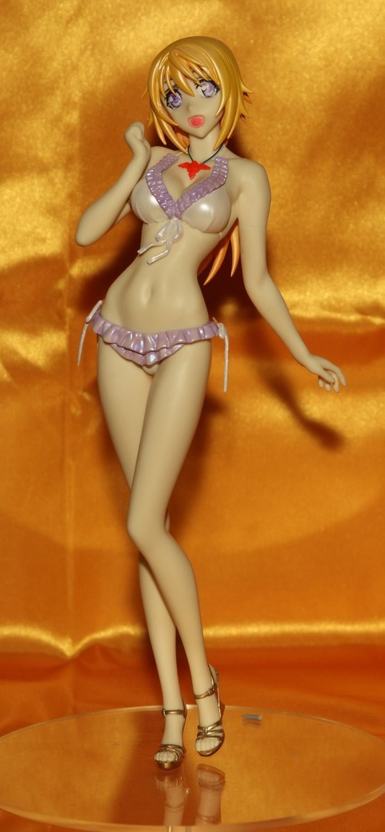 Charlotte Dunois (Swimsuit), IS: Infinite Stratos, Moonlighter, Garage Kit