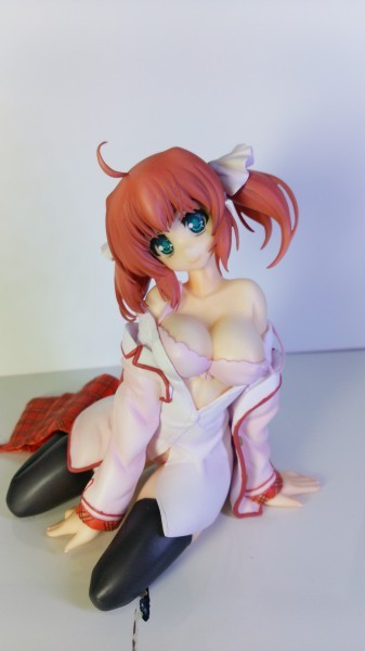 Kodachi Nagi, Daitoshokan No Hitsujikai, Garnet Star, Garage Kit, 1/8