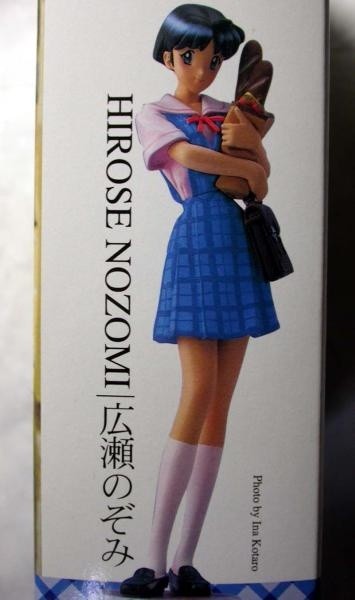 Hirose Nozomi, True Love Story, Kaiyodo, Garage Kit, 1/8