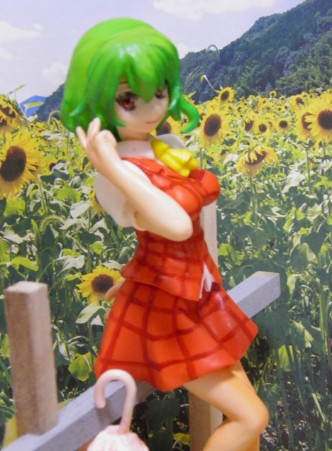 Kazami Yuuka, Touhou Project, Machiyakuba, Garage Kit