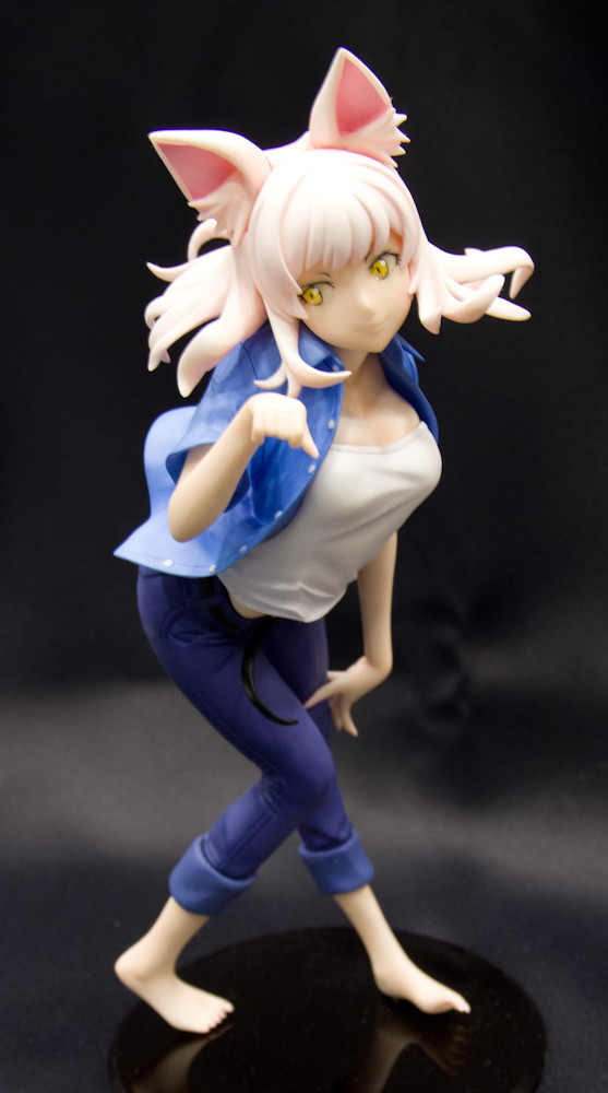 Black Hanekawa, Nekomonogatari Kuro, Tamatsuki Anbi, Garage Kit