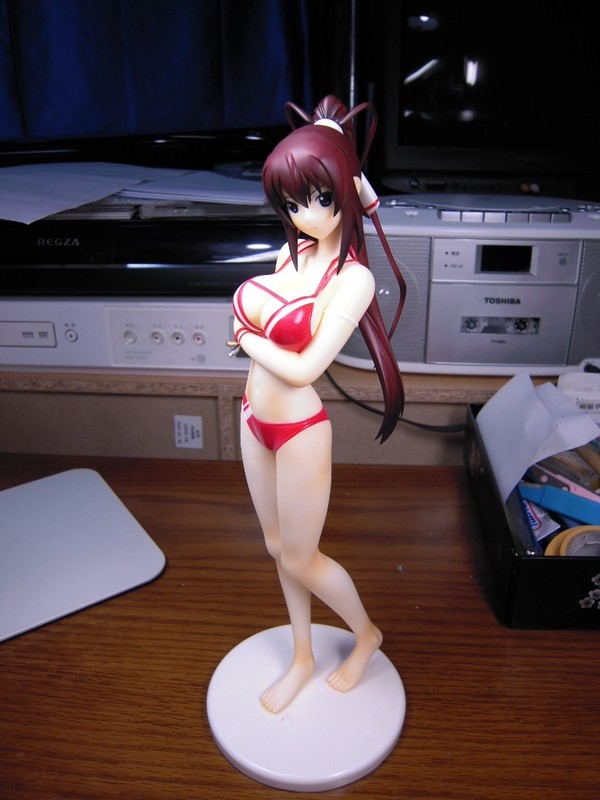 Shinonono Houki (Swimsuit), IS: Infinite Stratos, Kaguya Hime, Garage Kit, 1/6