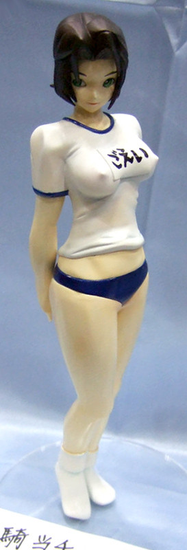 Sonsaku Goei (Gym Uniform), Ikki Tousen, NON STYLE Evo, Garage Kit