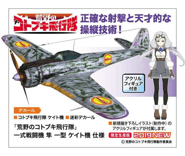 Kate, Kouya No Kotobuki Hikoutai, Hasegawa, Model Kit, 1/48, 4967834522169