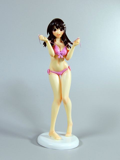 Niimi Haruka (Swimsuit), Photokano, Milf Skin, Garage Kit