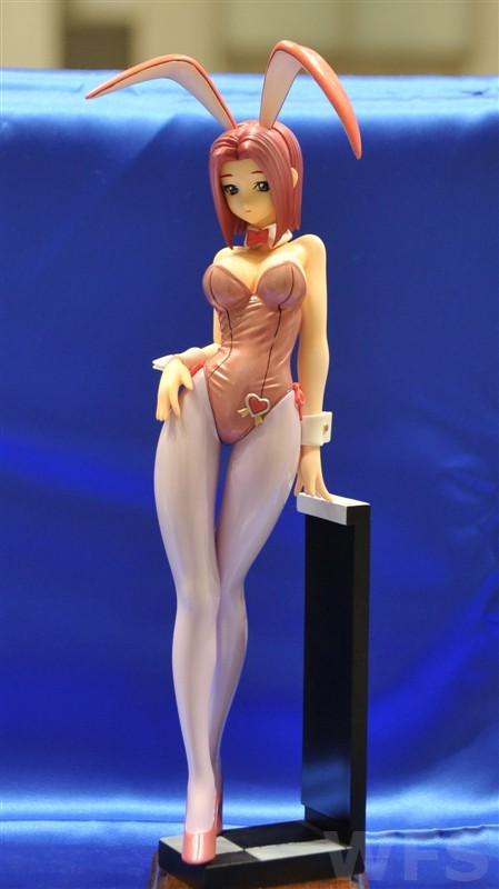 Kouzuki Kallen (Bunny), Code Geass - Hangyaku No Lelouch, Code Geass - Hangyaku No Lelouch R2, Clumsy Zero, Garage Kit, 1/8