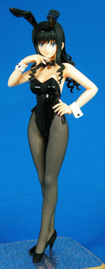Morishima Haruka (Bunny), Amagami, Usa P House, Garage Kit