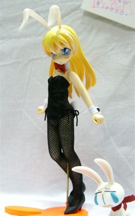 Mesousa, Miyamoto Rebecca (Bunny Girl), Pani Poni, Catsup, Garage Kit