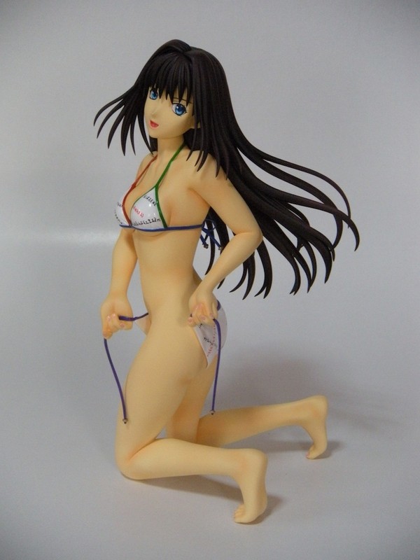 Aozaki Aoko (Swimsuit), Mahou Tsukai No Yoru, Heroine Koubou Tanpopo, Garage Kit, 1/4