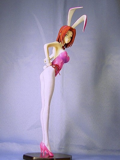 Kouzuki Kallen, Code Geass - Hangyaku No Lelouch R2, Geru Sekai Seifukudou, Garage Kit