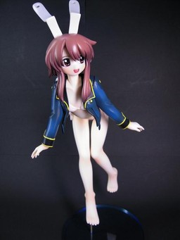Plug Cryostat, Fight Ippatsu! Juuden-chan!!, Kaguya Hime, Garage Kit