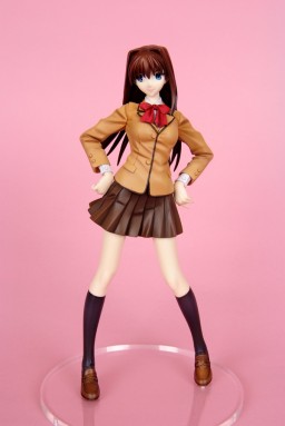 Aozaki Aoko (Character Material), Mahou Tsukai No Yoru, Cerberus Project, Garage Kit, 1/6