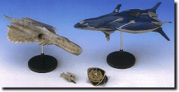 Blue Submarine #6 And Musuca, Ao No Roku-gou, Tamiya, Pre-Painted