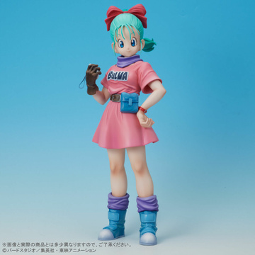 Bulma Briefs (Bulma), Dragon Ball, Plex, Pre-Painted