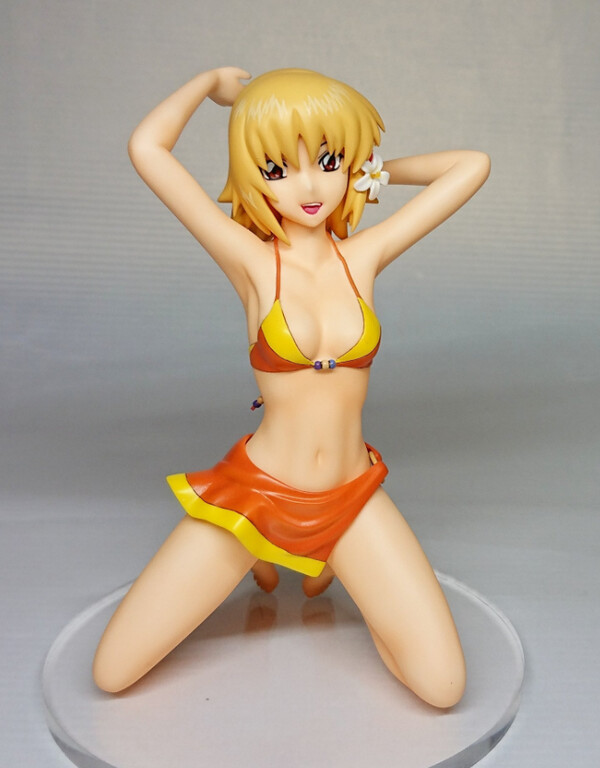 Cagalli Yula Athha, Kidou Senshi Gundam SEED, Yatagarasu, Garage Kit