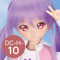DC-H-10 Pre-Painted Head, Volks, Accessories, 1/4