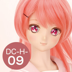 DC-H-09 Pre-Painted Head, Volks, Accessories, 1/3