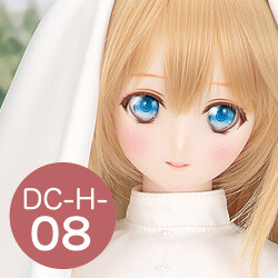 DC-H-08 Pre-Painted Head, Volks, Accessories, 1/3