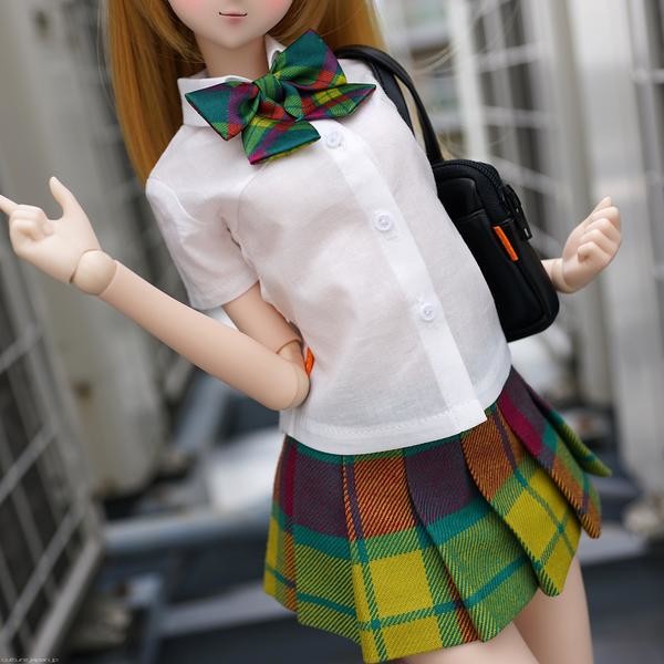 Mirai High School Uniform (Isetan Tartan), Culture Japan, Accessories, 1/3