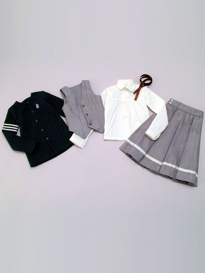 Junior High School Girl Set, Volks, Accessories, 1/3, 4518992418445