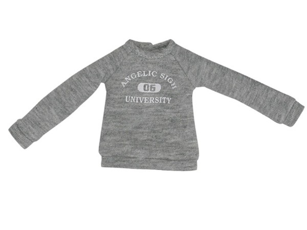 Angelic Sigh College Logo Trainer (Grey), Azone, Accessories, 1/6, 4571117005463