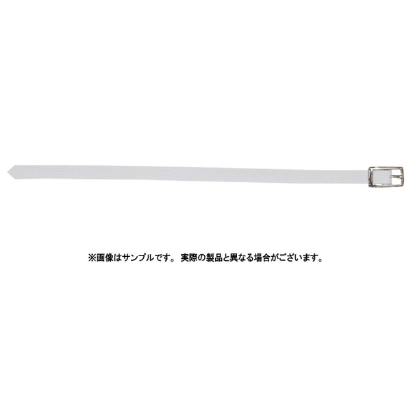 Thirteen Stars Belt (White), Azone, Accessories, 4571117009034