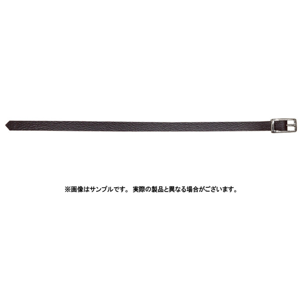 Thirteen Stars Belt (Brown), Azone, Accessories, 4571117009027