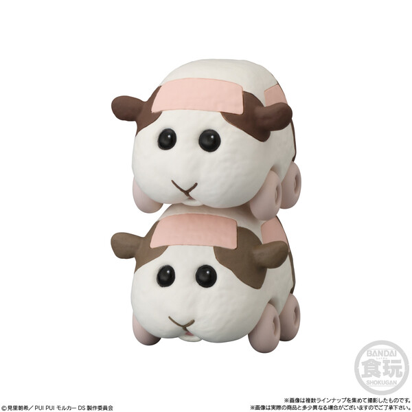 Tonton, Pui Pui Molcar, Bandai, Trading