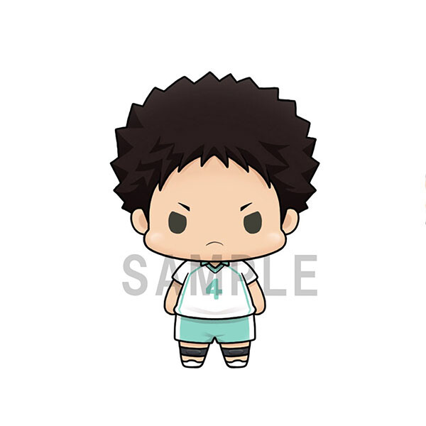 Iwaizumi Hajime, Haikyuu!!, MegaHouse, Trading