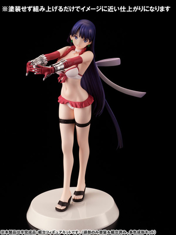 Rider GO/ Saint Martha, Fate/Grand Order, Our Treasure, Model Kit, 1/8