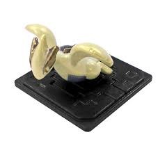 Lugia (Z Move), Gekijouban Pocket Monsters Kimi Ni Kimeta!, Takara Tomy A.R.T.S, Trading