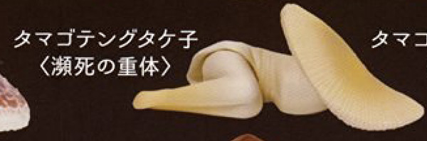 Tamagotengutake-ko (Dying of poison), Poison Kinoko 2, Ekod Works, Shineg, Trading